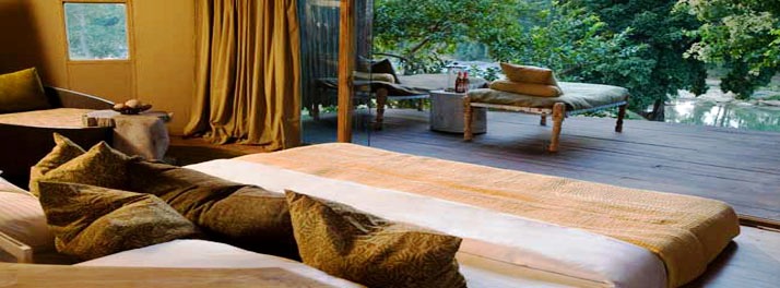 714/Taj Banjaar Tola - Kanha National Park 08.jpg